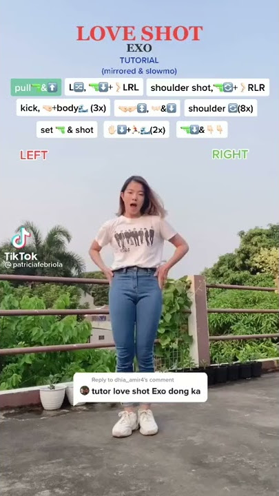 Love shot-Exo Dance Tutorial
