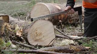 Råte Og Kapping Praktiske Tips Fra Allskogs Skogbruksledere