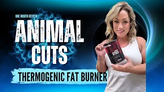 21 Days on Animal Cuts – What Happened?