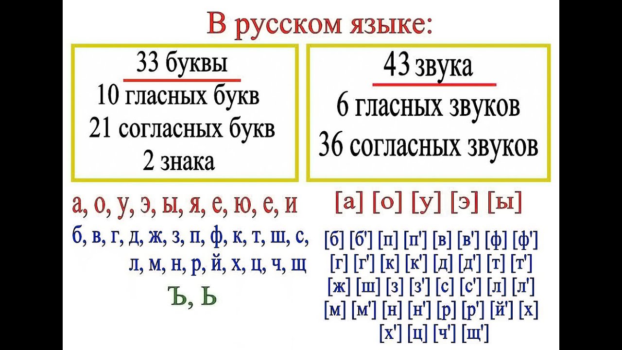 Цветы сколько звуков. В русском языке 33 буквы и 42 звука. Сколько гласных и согласных звуков. Количество букв и звуков в русском языке. Сколько букв и сколько звуков в русском языке.