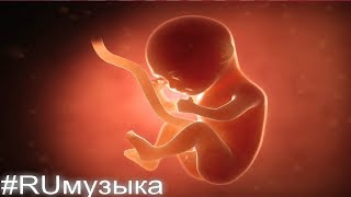 👶музыка для детей, которые собираются родиться 3 🔴 7 месяцев - #эффектмоцарта для младенцев by #RUмузыка 4,890 views 5 years ago 2 hours