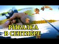 Рыбалка на майского жука в сентябре на реке Березина