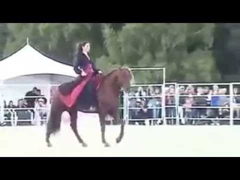 هل نسييت العهد كاظم الساهر تصوير قمة في الروعة