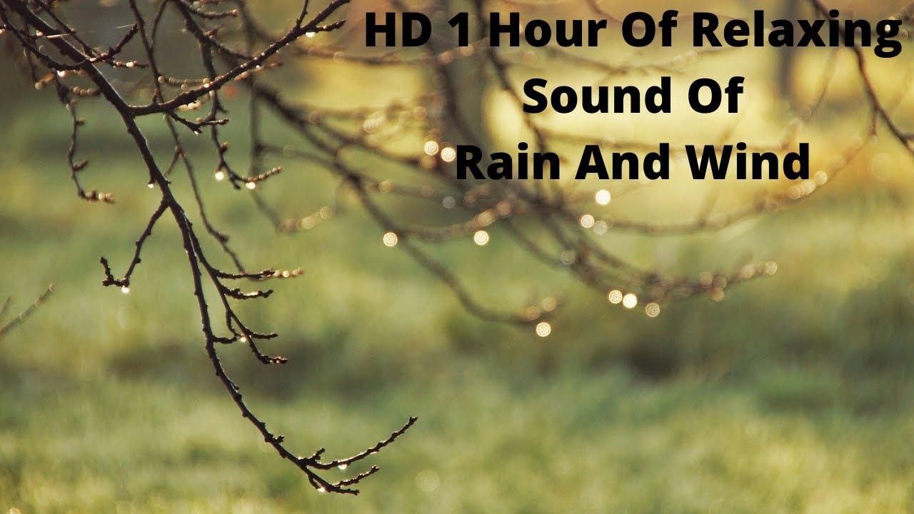 HD 1 Hour Of Relaxing Sound Of Rain And Wind - YouTube