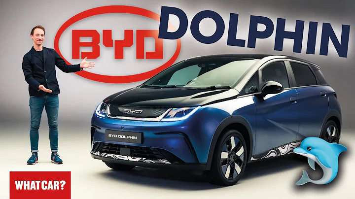 NEW BYD Dolphin – strange name, great EV? | What Car? - DayDayNews