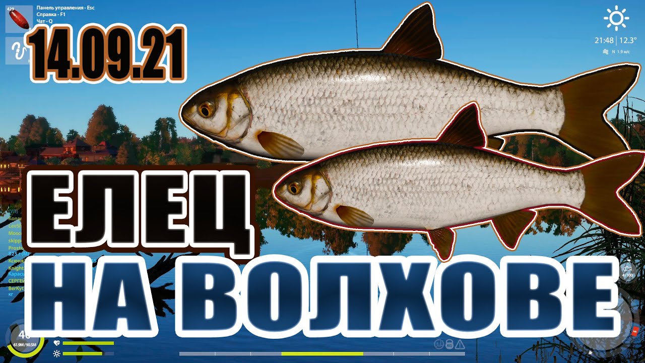 белых елец. елец рр4. Russian fishing 4 река белая. елец рр4. карта волхова рр4 елец.