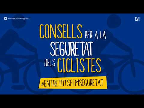 Vídeo: 5 Consells De Seguretat D'escales Per A Gossos