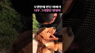 오랜만에 만난 아빠가 너무 그리웠던 댕댕이 #감동사연 #감동 #감동스토리