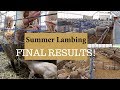 The Last Days of Summer Lambing 2019 (FINAL RESULTS): Vlog 150