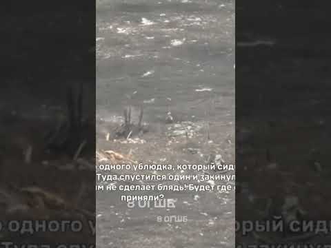 Предупреждение: в видео присутствует нецензурная лексика