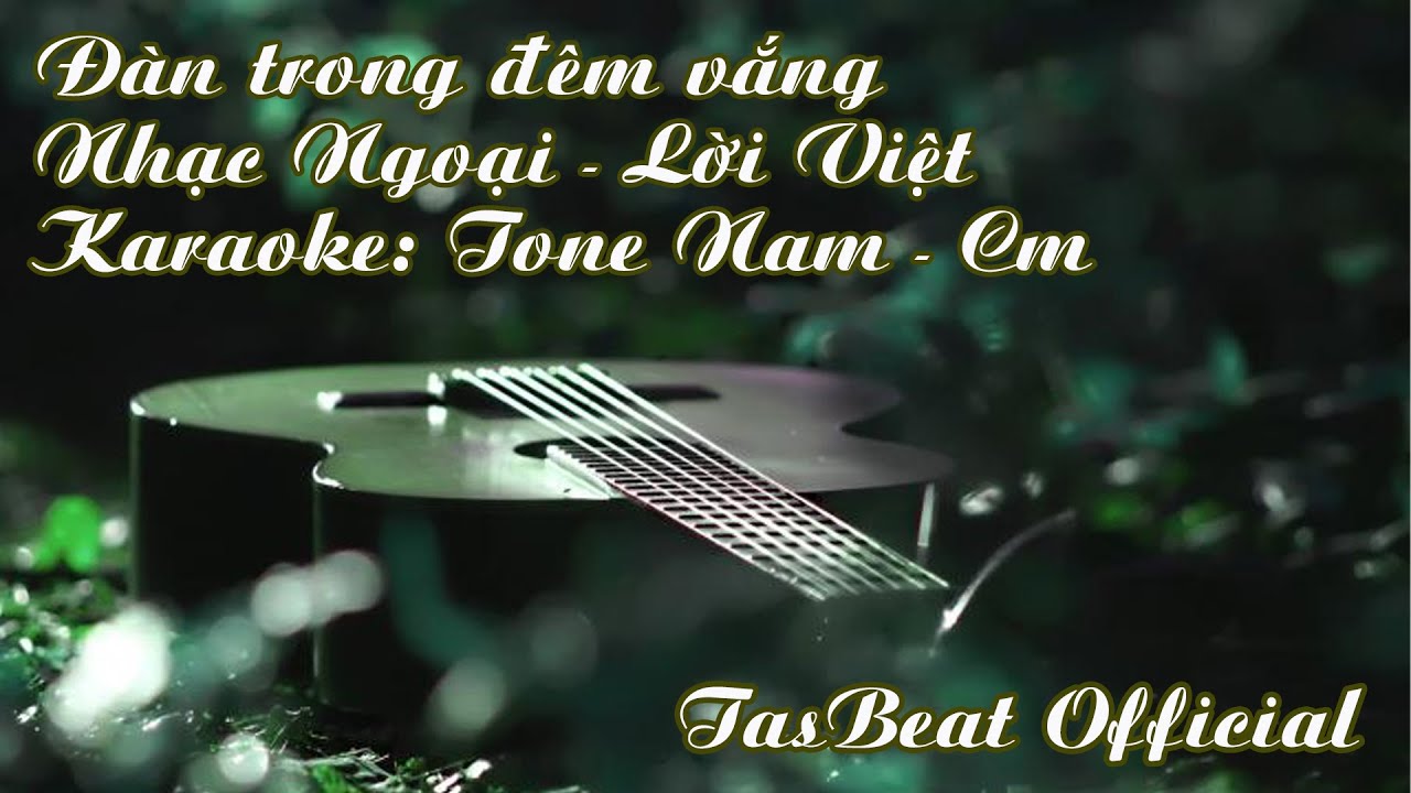 Karaoke Đàn trong đêm vắng - Tone Nam | TAS BEAT