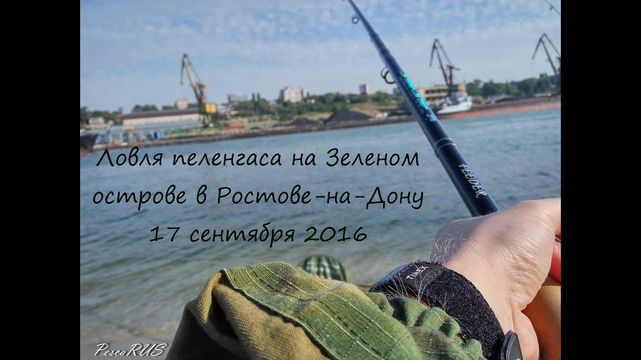 Ловля Пеленгаса на Дону,  в Ростове-на-Дону.