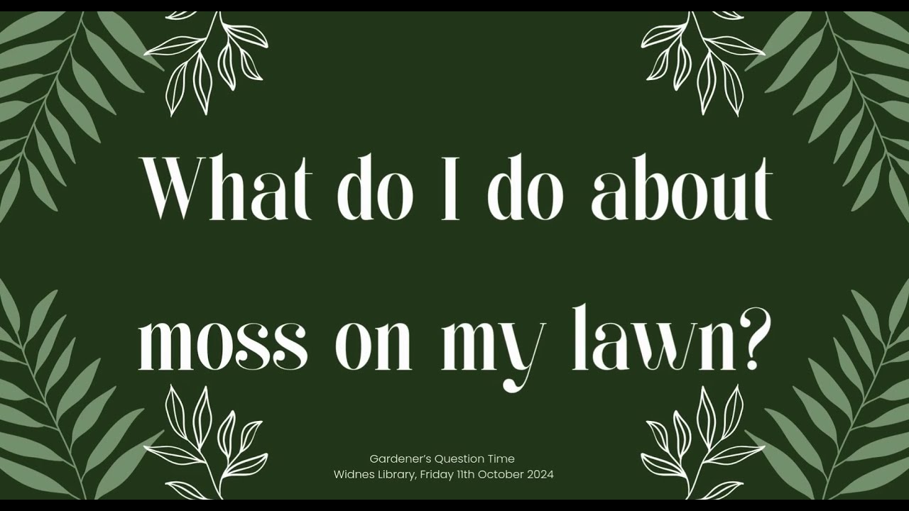 Gardener's Question Time - What Do I Do About Moss On My Lawn?