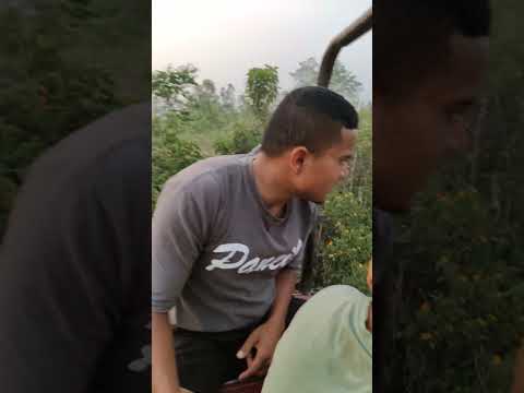 ट्रेक्टर की सवारी