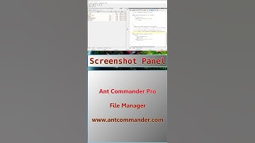Do a Screenshot of the Panel in File Manager Ant Commander Pro #screenshot #panel #filemanager