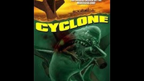 大竜巻／サメの海へ突っ込んだ旅客機　災害パニック×鮫映画！