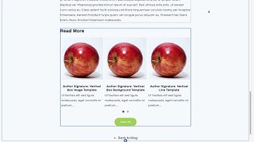 Pro Blogger: Related Blog Posts for your Blog in Shopify OS 2.0 themes