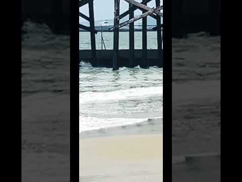 2025 Bigwaves Skimboarders Ocean Sealbeachca Southside 