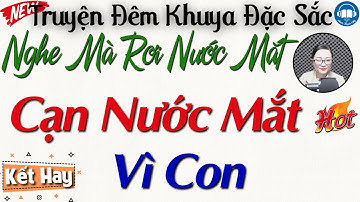 Nghe mà rơi nước mắt với câu truyện đời thực: Cạn Nước Mắt Vì Con | Nghe kể truyện đêm khuya