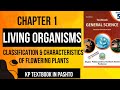 Monocot &amp; Dicot Plants | Classification &amp; Characteristics of Flowering Plants | Class 5 Science Ch 1