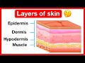 Layers of skin   human skin anatomy  easy learning  5 senses