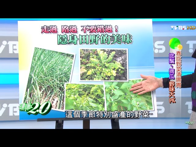 春吃野菜清腸胃捻鬚 摘瓜野味大pk 健康2 0 完整版 Youtube 春吃野菜清腸胃捻鬚 摘瓜野味大pk 健康2 0 完整版 Youtube
