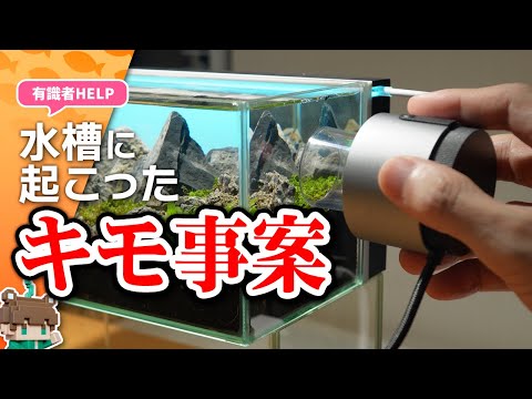 VIVA AQUA - YouTube