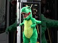 funny videos