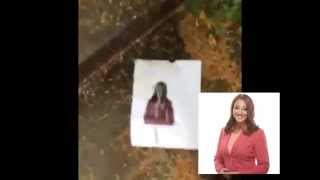 How GamerGate Feels About WSBTV and Tyisha Fernandes Profile