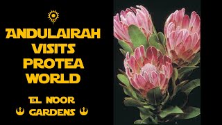 Andulairah Visits Protea World