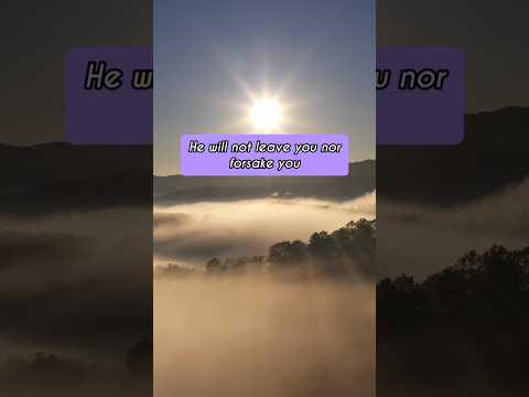 He Will Not Forsake You #scripture #dailydevotion #jesus #christian