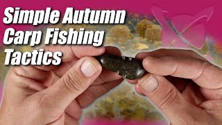 Catch More Carp This Autumn With These Simple Tips! CC Moore Carp Fishing