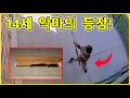 6개월간 자신의 학교를 공격할 계획을 세운 14세 중학생의 소름 돋는 진실  - 미국 경찰