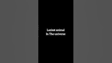 IF NOT Subscribe #funny #lazy #video #motivation #youtubeshorts #facebook #instagram #share #like #y