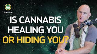 Download Lagu De spirituele waarheid over cannabis: van escapisme naar bewustzijn MP3 Download Lagu De spirituele waarheid over cannabis: van escapisme naar bewustzijn MP3