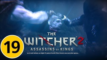 The Witcher 2 Assassin