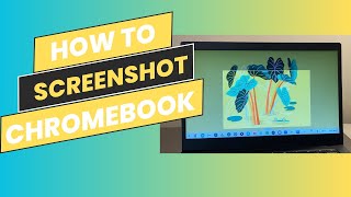 Chromebook take screenshot | Full, partial and whole page