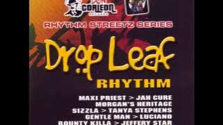 Drop Leaf Riddim Mix (2005) By DJ WOLFPAK