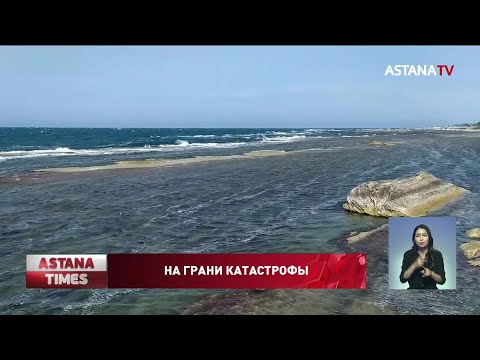 Каспийскому морю грозит экологическая катастрофа, - экологи