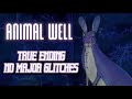 World record animal well true ending speedrun in 22 minutes no major glitches