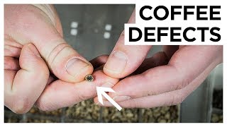 Coffee Defects Explained | European Coffee Trip x DRWakefield