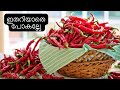 How to store green chillieshow to store chillies for long timekitchen tips malayalam