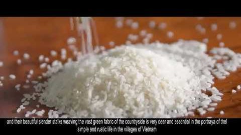 Video Tranh gạo làng hồ 4