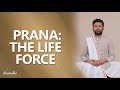 Prana the life force  naam deo