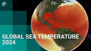 Global Sea Surface Temperature in 2024