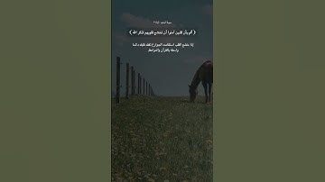 ﴿ ألم يأن للذين آمنوا أن تخشع قلوبهم لذكر الله ﴾ القارئ #سعد_الغامدي