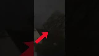 Video Footage INSIDE a Tornado!