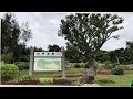 Nakagusuku Castle Ruins 中城 - okinawa 沖縄