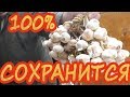 Лучший способ сохранить чеснок при длительном хранении