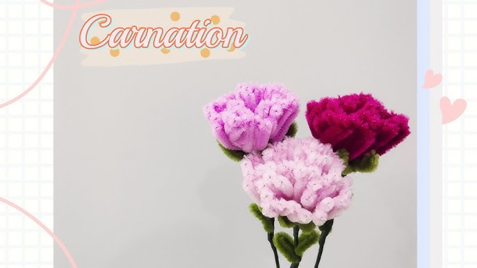 DIY Pipe Cleaners Kit - Carnation